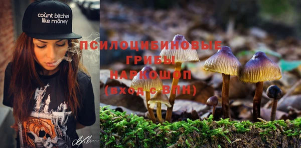 МДПВ Абдулино