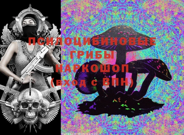 шишки Алексеевка