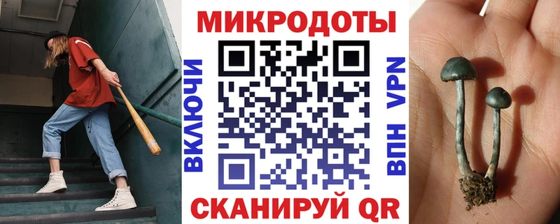 цена наркотик  Гагарин  Псилоцибиновые грибы MAGIC MUSHROOMS 