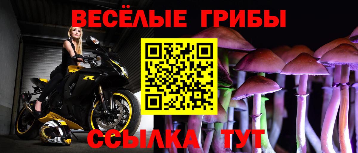 Псилоцибиновые грибы ЛСД  Галлюциногенные грибы Psilocybine cubensis  Гагарин  Вход с VPN 
